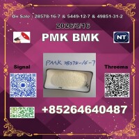 Buy Low price P.MK 28578-16-7 1369021-80-6 & B.MK 5449-12-7 big factory